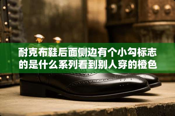 耐克布鞋后面侧边有个小勾标志的是什么系列看到别人穿的橙色鞋带灰色布面的男鞋？
