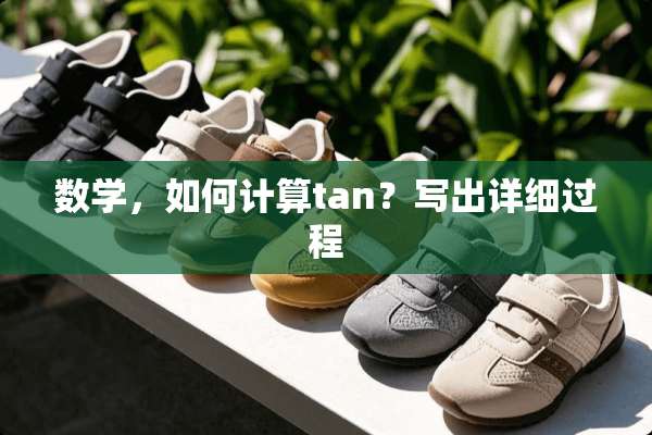数学，如何计算tan？写出详细过程