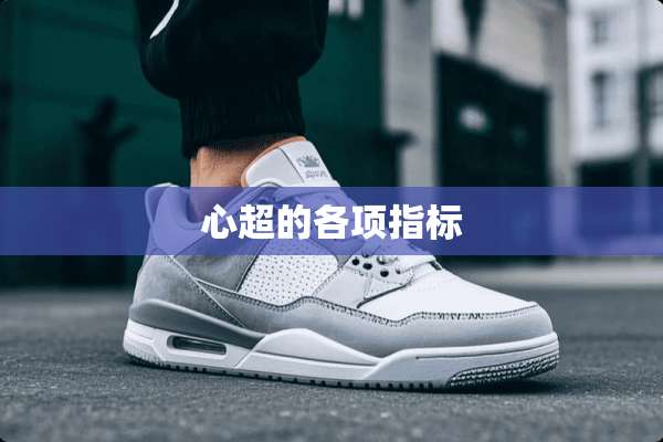 心超的各项指标