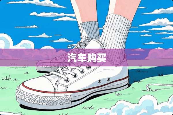 汽车购买