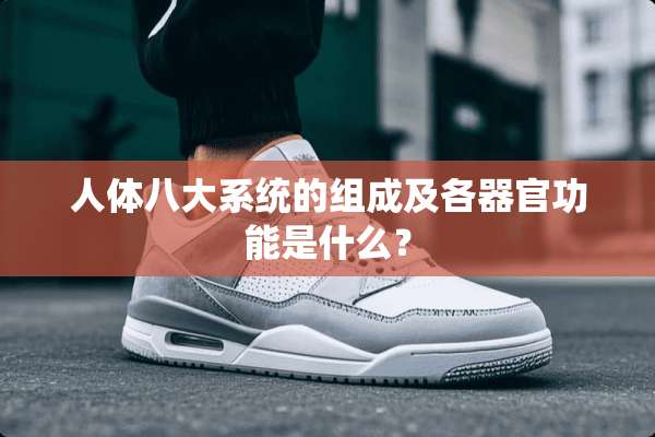 人体八大系统的组成及各**功能是什么？