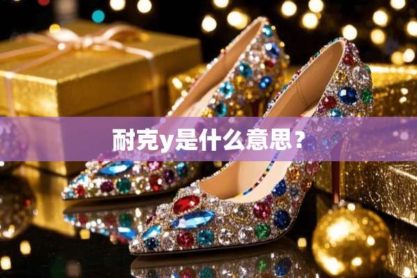 耐克y是什么意思？