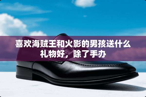喜欢海贼王和火影的男孩送什么礼物好，除了手办