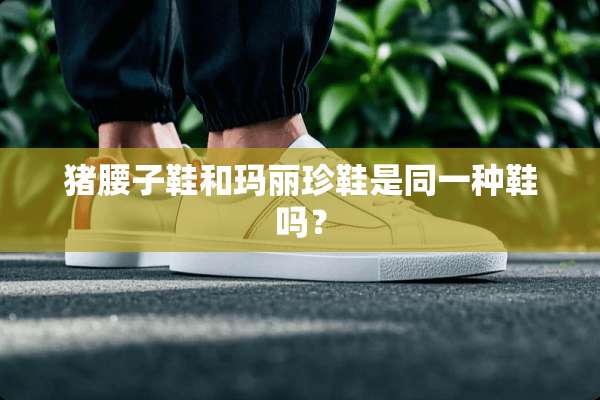 猪腰子鞋和玛丽珍鞋是同一种鞋吗？