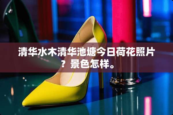清华水木清华池塘今日荷花照片？景色怎样。