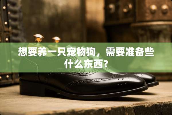 想要养一只宠物狗，需要准备些什么东西？