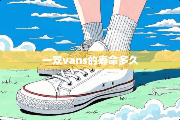 一双vans的寿命多久