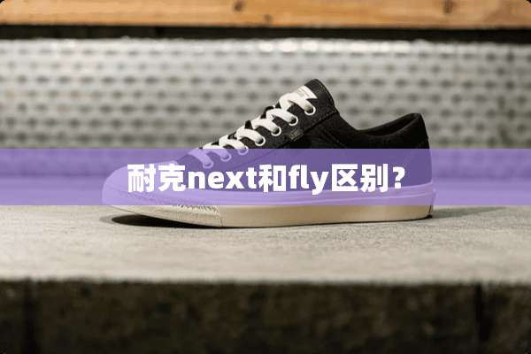 耐克next和fly区别？