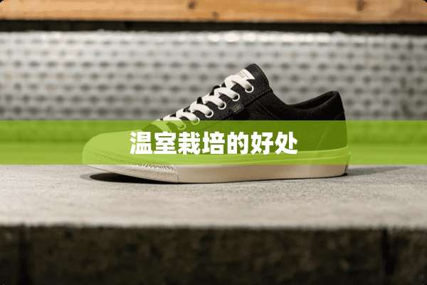 温室栽培的好处