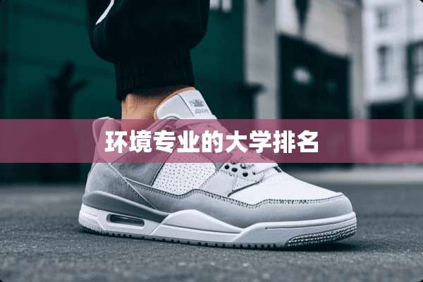 环境专业的大学排名