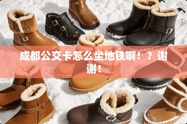 成都公交卡怎么坐地铁啊！？谢谢！