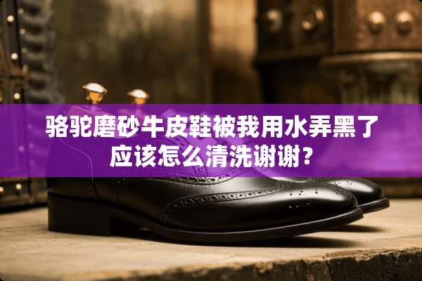 骆驼磨砂牛皮鞋被我用水弄黑了应该怎么清洗谢谢？