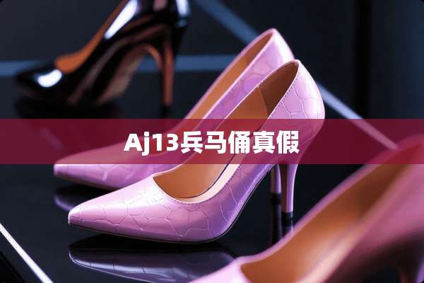 Aj13兵马俑真假