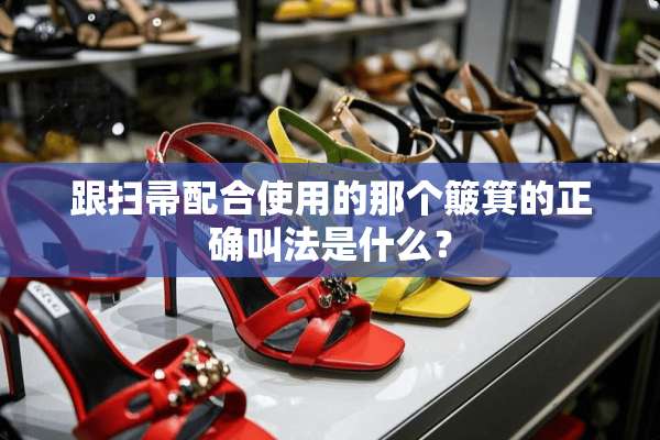 跟扫帚配合使用的那个簸箕的正确叫法是什么？