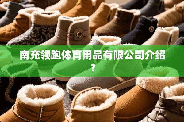 南充领跑体育用品有限公司介绍？
