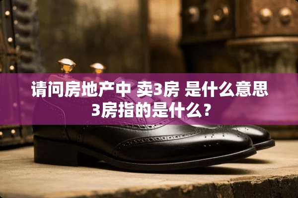 请问房地产中 卖3房 是什么意思 3房指的是什么？
