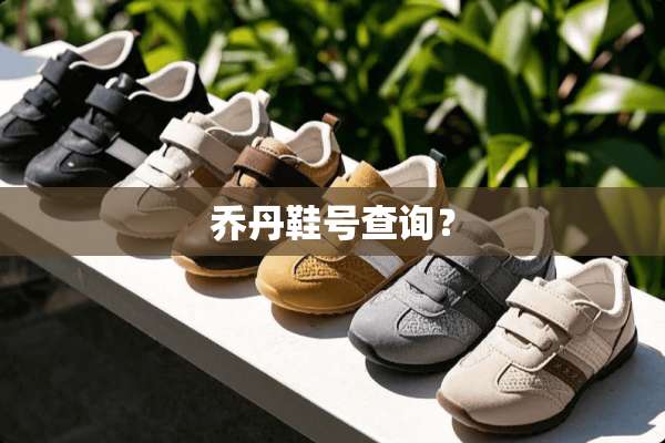 乔丹鞋号查询？