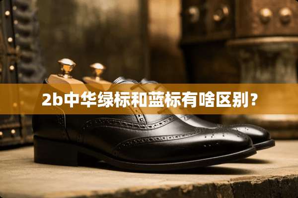 2b中华绿标和蓝标有啥区别？