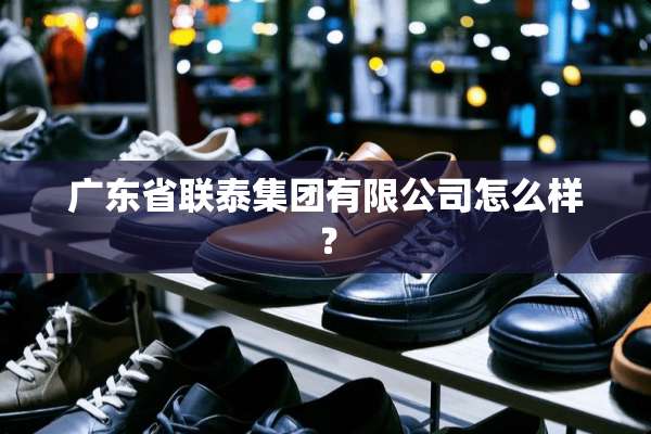 广东省联泰集团有限公司怎么样？