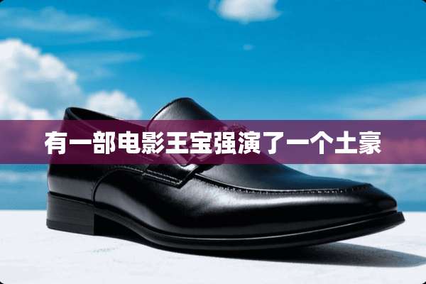 有一部电影王宝强演了一个土豪