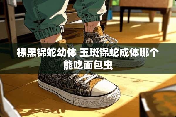 棕黑锦蛇幼体 玉斑锦蛇成体哪个能吃面包虫