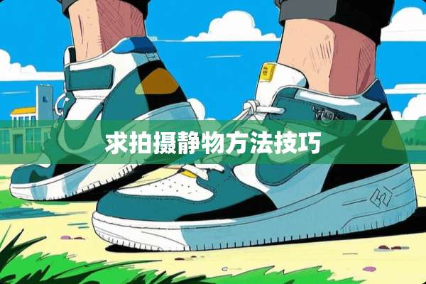 求拍摄静物方法技巧