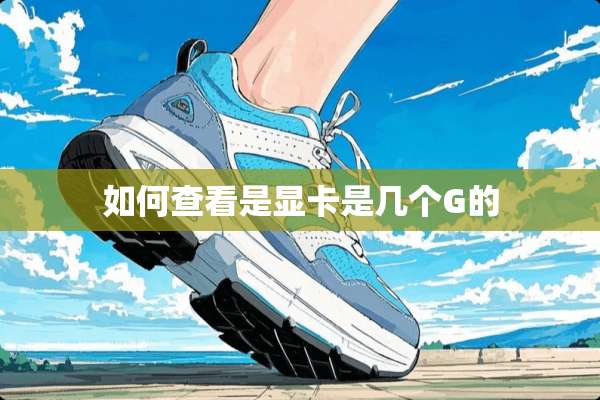 如何查看是显卡是几个G的