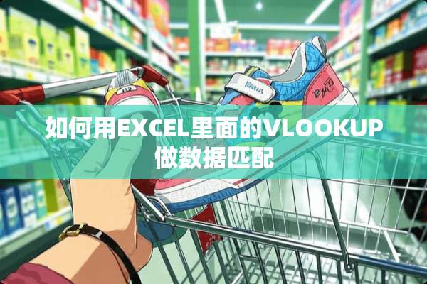 如何用EXCEL里面的VLOOKUP做数据匹配