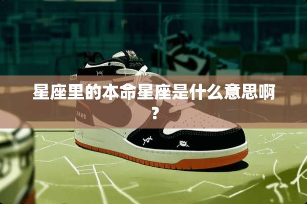 星座里的本命星座是什么意思啊？