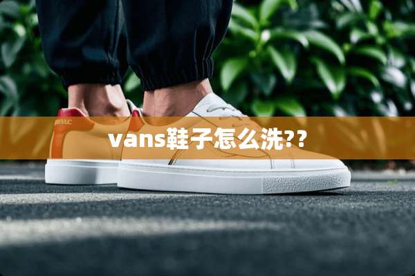 vans鞋子怎么洗?？