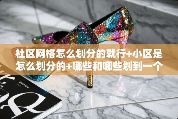 社区网格怎么划分的就行+小区是怎么划分的+哪些和哪些划到一个网格+会议记