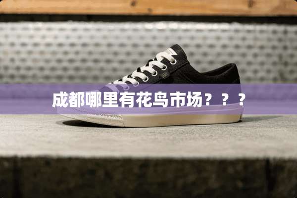 成都哪里有花鸟市场？？？