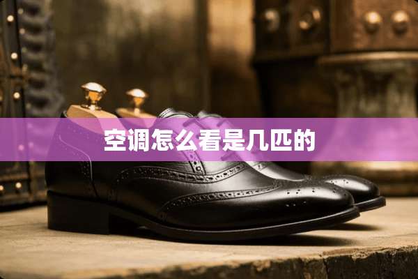 空调怎么看是几匹的