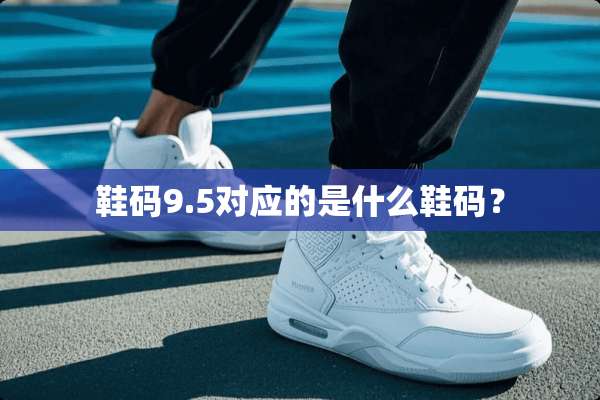 鞋码9.5对应的是什么鞋码？