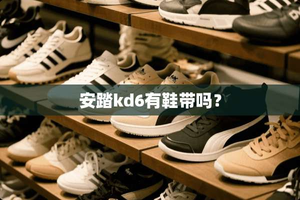 安踏kd6有鞋带吗？