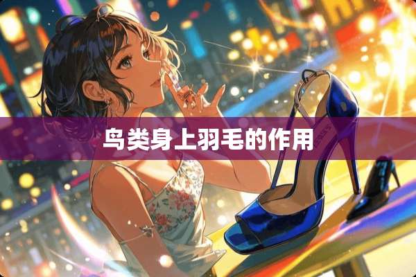 鸟类身上羽毛的作用