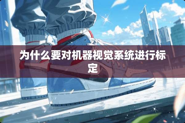 为什么要对机器视觉系统进行标定