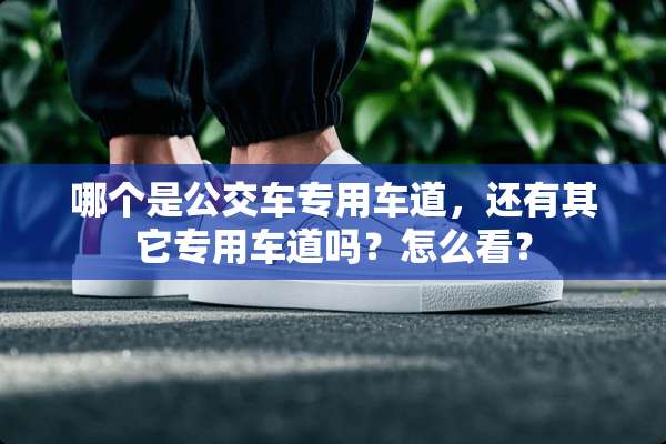 哪个是公交车专用车道，还有其它专用车道吗？怎么看？