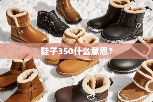 鞋子350什么意思？