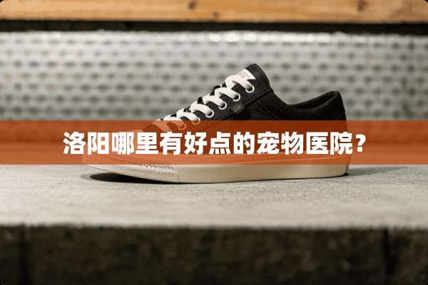 洛阳哪里有好点的宠物医院？