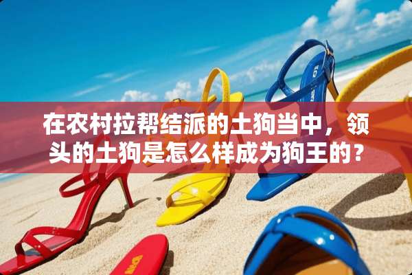 在农村拉帮结派的土狗当中，领头的土狗是怎么样成为狗王的？