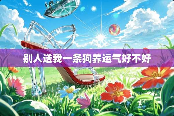 别人送我一条狗养运气好不好