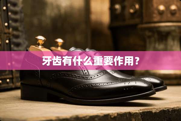 牙齿有什么重要作用？