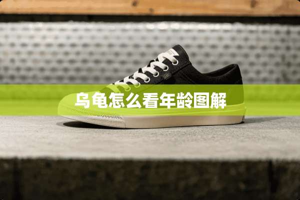 乌龟怎么看年龄图解