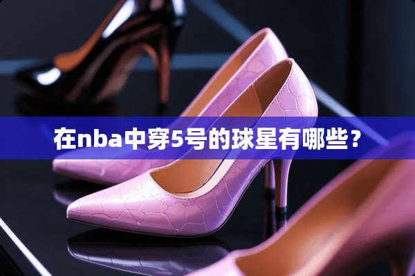 在nba中穿5号的球星有哪些？
