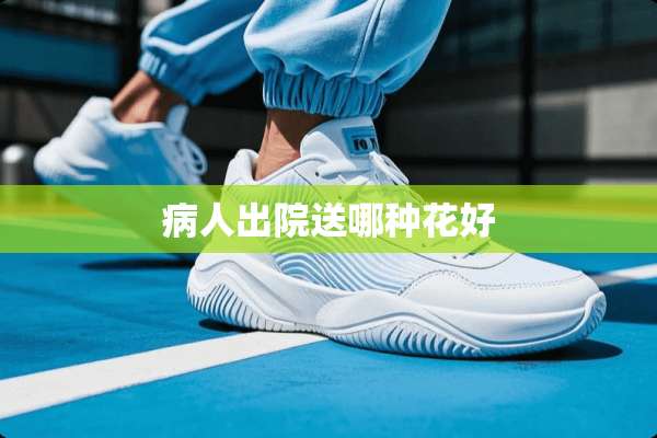 病人出院送哪种花好