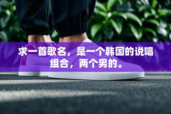 求一首歌名，是一个韩国的说唱组合，两个男的。