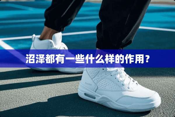 沼泽都有一些什么样的作用？
