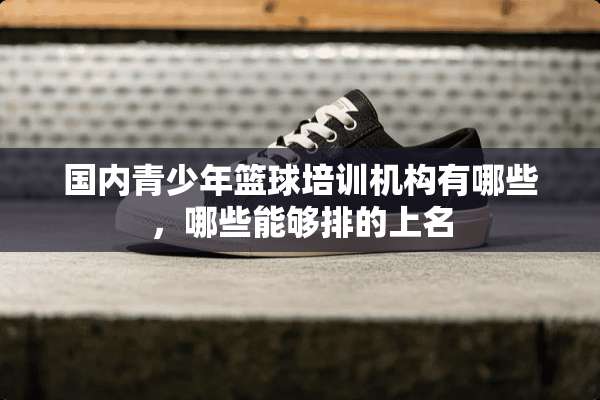 国内青少年篮球培训机构有哪些，哪些能够排的上名