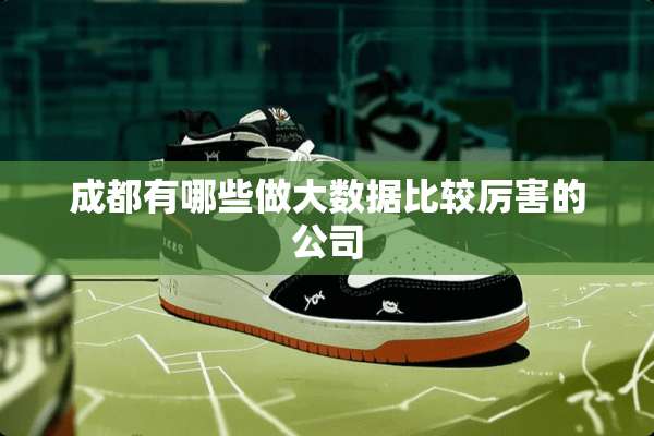 成都有哪些做大数据比较厉害的公司